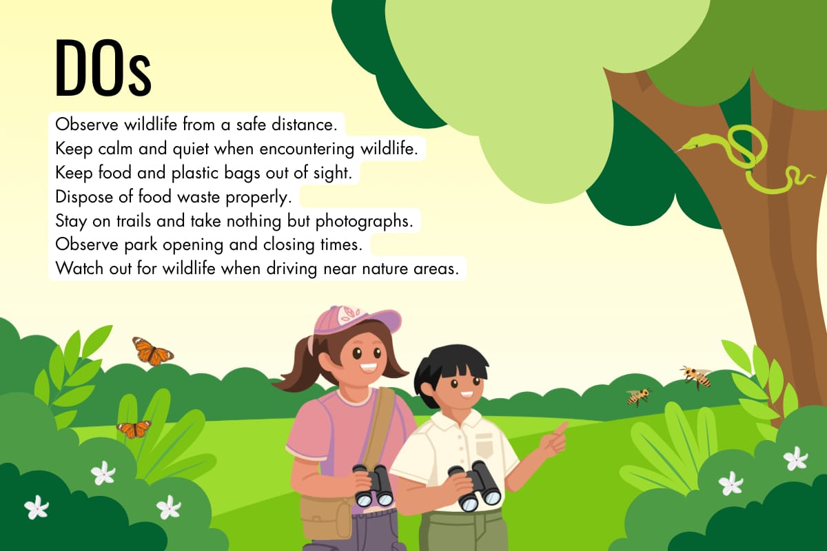 Dos of encountering wildlife